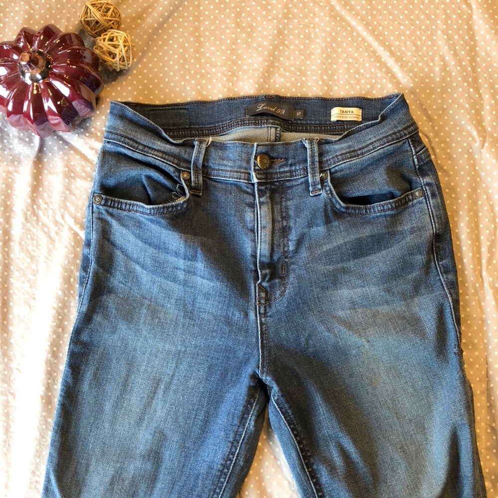 Anthropology Level 99 “Tanya” High Rise Skinny